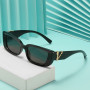 Retro Cat eye Frame Sunglasses Women Luxury V Sun Glasses Men Fashion Rectangle Jelly with Metal Hinges UV400