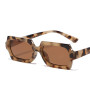 Vintage Polygon Sunglasses Luxury Brand Eyeglasses for Women/Men
