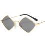 Leon Lion Small Retro Sunglasses Vintage Glasses for Women/Men Luxury Designer