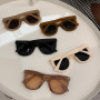 Oversized Butterfly Cat Eye Sunglasses New Trendy Fashion Female Lady Shades Colorful Popular Brand Designer Eyewear