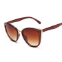 Cat Eye Sunglasses Woman Luxury Brand Designer Vintage Gradient Glasses Retro Fashion Eyewear