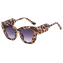 Popular Fashion Oversized Cat Eye Sunglasses Women Colorful Shades UV400 Men Jelly Color Gradient Sun Glasses