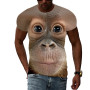 Fashion Casual Men's T-shirt Hip Hop Monkey 3D Printing Personality Trend Young Funny Round Neck Large Size Short Sleeve