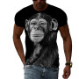 Fashion Casual Men's T-shirt Hip Hop Monkey 3D Printing Personality Trend Young Funny Round Neck Large Size Short Sleeve
