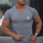 Sik Silk T Shirt Men Short Sleeve Compression T shirt Mesh Tops Tee Male Clothing Fashion Sports T-shirts