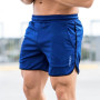 Men Fitness Bodybuilding Shorts Gyms Workout Male Breathable Mesh Quick Dry Sportswear Jogger Beach Short Pants