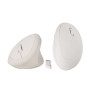 HKZA Wireless Vertical Mouse 2.4G