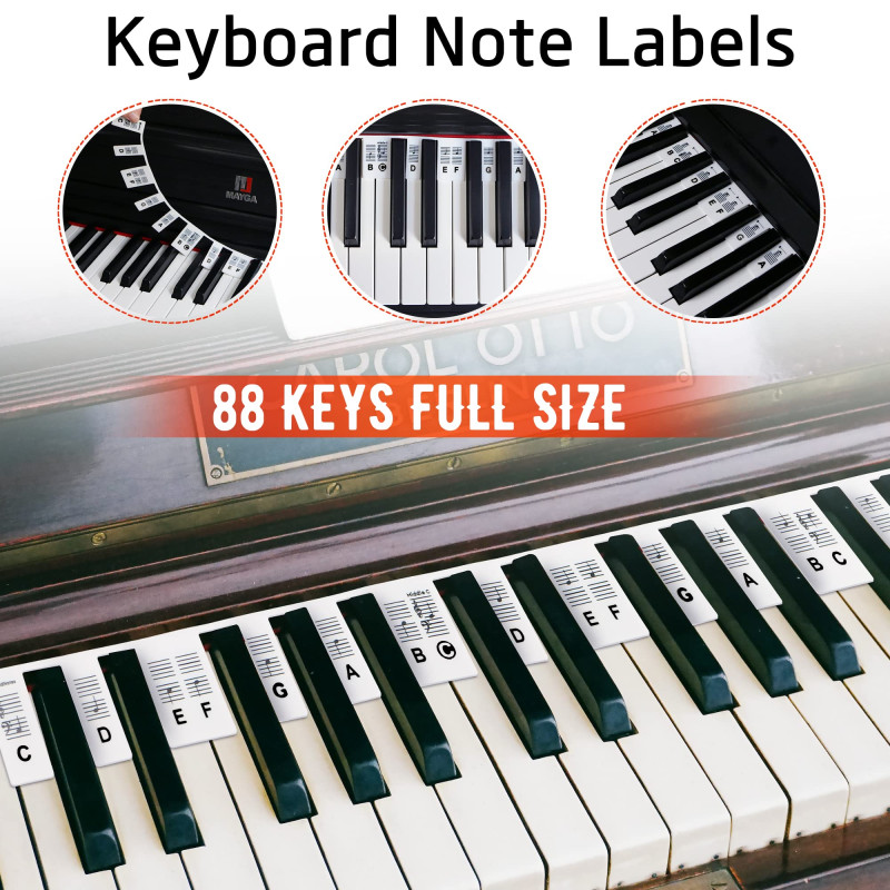 Removable Piano Keyboard Note Labels Silicone Piano Notes Guide for ...