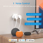 2 In 1 WiFi Smart Plug Dual Outlet EU Smart Socket Remote Voice Control Support Alexa Google Home SmartThings