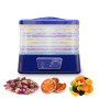 MINI Food Dehydrator Dried Fruit Vegetables Herb Meat Machine Household Pet Dehydrated 5 Trays Snacks Air Fish 350W