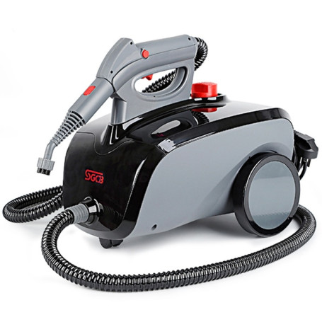 Hand Held Steam Cleaner for Car Wash High Temperature Steam Generator Cleaning Machine Devices