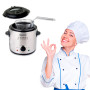 1L electric fryer, stainless steel, 900W, removable lid, filter, non-stick, insulating handles, oil fryers, Fryers, Fryer