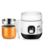 1.2L Mini Rice Cooker 2 Layers Steamer Multifunction Cooking Pot Electric Insulation Heating Cooker Food Container Lunch Box