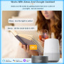 Tuya E27 Led Lights Bulb RGB CW WW Wifi Led Lamp Alexa Smart Bulb Compatible With Google Assistant For Smart Home Decoration 15W