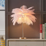ZC-ECC Modern Bedside Table Lamp Nordic Luxury Deco Indoor Lighting Home Desk Light Ostrich Feather Girl Room Stand Light