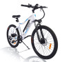 Fafrees F100 Electric Bicycle 26" 350W 11.6Ah Electric MTB Adult E-Bike 3 Working Mode with Gift