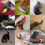 Cat Toys Floppy Wagging Fish Cat Toy Fish USB Electric Charging Simulation Fish Catnip Cat Pet Chew Toys