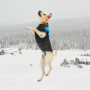 Large Dog Clothes Winter Dog Clothes Jacket Nylon Sport Coat for Small Medium Large Dog Labrador S-7XL