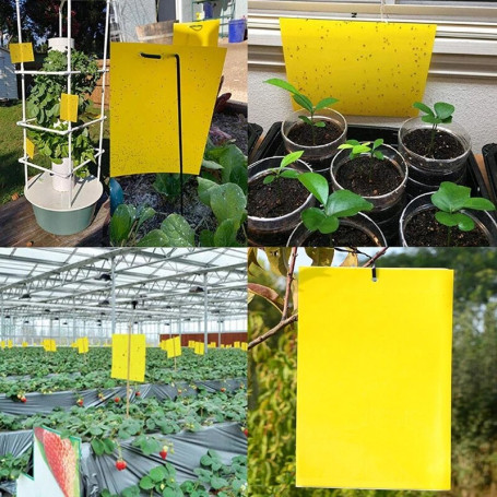 5/10/20pcs Yellow Greenhouse Sticky Traps Bugs Sticky Board Multiple Flying Insect Catching Control Sticker Double-sided