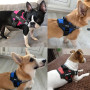 Dog Harness Reflective Breathable Adjustable Pet Harness For Dog Vest ID Custom Patch Outdoor Walking Dog Supplies