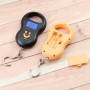 NEW Portable 50Kg 10g Hanging Scale Digital Scale BackLight Electronic Fishing Weights Pocket Scale Luggage Scales Black