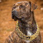Stainless Steel Dog Chian Collar Strong Pet Slip Choke Collar Rhinestone Dog Slip Collars for Medium Large Dogs Pitbull