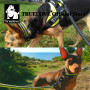 Truelove Pet Dog Collar Nylon Adjustable Webbing Padded Soft Reflective Durable Heavy Duty Training Custom Luxury Cat TLC5011