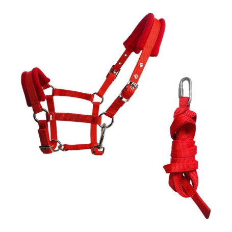 Durable Horse Bridle Rein Halter Headstall Harness Webbing Horse Riding Rope