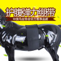 Cavassion Equestrian Equipments Horse Abdominal Belt Horse Girth Belts Anti-wear Elastic Belts