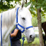 Adjustable Equestrian Western Horse Halter horse halter accessories Fits 4.3ft - 5.4ft Horse Black/Blue/Red