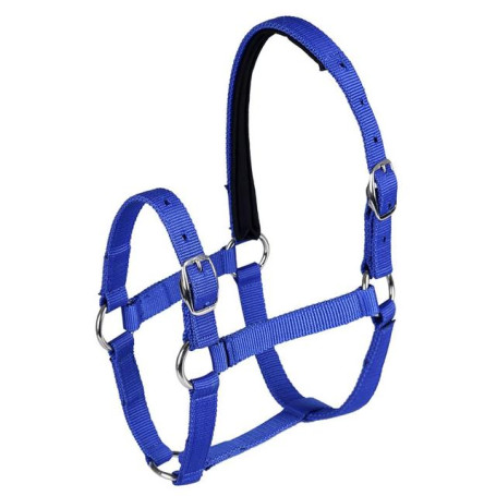 Adjustable Equestrian Western Horse Halter horse halter accessories Fits 4.3ft - 5.4ft Horse Black/Blue/Red
