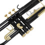 Trumpet Bb Flat Brass Tube Body With Mouthpiece Straps Gloves Musical Instrument Accessories For Beginners