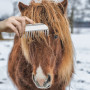 Aluminum Alloy Horse Comb Mane Tail Pulling Comb Metal Horse Grooming Comb Tool Horse Riding Equipment