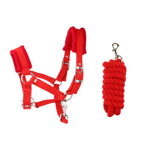 Soft Padded Adjustable Horse Headcollar (Middle) + 2.5 Meters  Rope
