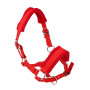 Soft Padded Adjustable Horse Headcollar (Middle) + 2.5 Meters  Rope