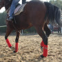 4 Rolls Fleece Polo Leg Wraps Horse Equestrian Boots Bracer Leg Protection Wraps