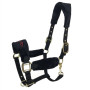 New Horse Bridle Harness Colorful Anti-wear Cage Set Fine Equestrian Supplies Size Pony Faucet Traction Rope