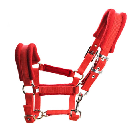 Aoud Saddlery Textile Halter Riding Horse Racing Equipment Equestrian Taps Halter Stainless Steel Buckle Headstall High Quality