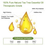 Pure Natural Therapeutic Grade Essential Oils Tea Tree Rose Jasmine Mint Vanilla Eucalyptus for Skin Care Massage Diffuser Oil
