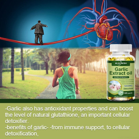 Alxfresh 3 Box Organic Garlic Extract Capsule for Cardiovascular Health Increase Glutathione Level Cellular Detox Support Immune