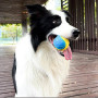 Bite-resistant Pet Dog Toy Rubber Ball Beef-flavored Elastic Ball To Prevent Dog From Destroying Things Dog Training Supply