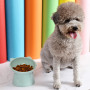 Pet Food Bowl Tilt High Bottom Neck Protector Anti-choking Dog and Cat Water Bowl Anti-dumping Dog Feeding Supplies