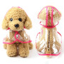 Waterproof And Fashionable PU Transparent Raincoat For Pets Small And Medium-Sized Dog Two-legged Dog New Cat Raincoat