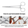 16cm/18cm Stainless Steel Veterinary Needle Holder Suturing Forceps Hemostatic Pliers Livestock Pet Animal Surgical Tools