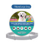 Flea and Tick Collar for Dogs, 8-Month Flea and Tick Collar for Large Dogs Over 18 Pounds, Flea Collar for Small Dogs Cats