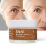 Snail essence face cream relieves skin dullness, moisturizes and moisturizes skin