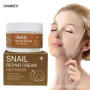 Snail essence face cream relieves skin dullness, moisturizes and moisturizes skin