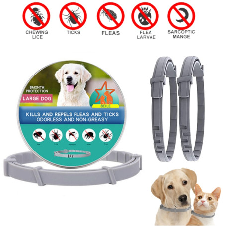 Extendable Pet Flea Collar Antiparasitic Necklace Personalized  Anti Flea and Tick Big Dog Puppy Cat Anti-Flea Collar Ticks Dogs