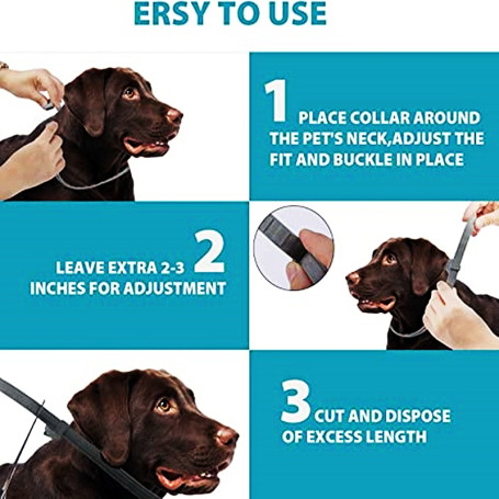 Extendable Pet Flea Collar Antiparasitic Necklace Personalized  Anti Flea and Tick Big Dog Puppy Cat Anti-Flea Collar Ticks Dogs