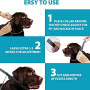 Extendable Pet Flea Collar Antiparasitic Necklace Personalized  Anti Flea and Tick Big Dog Puppy Cat Anti-Flea Collar Ticks Dogs